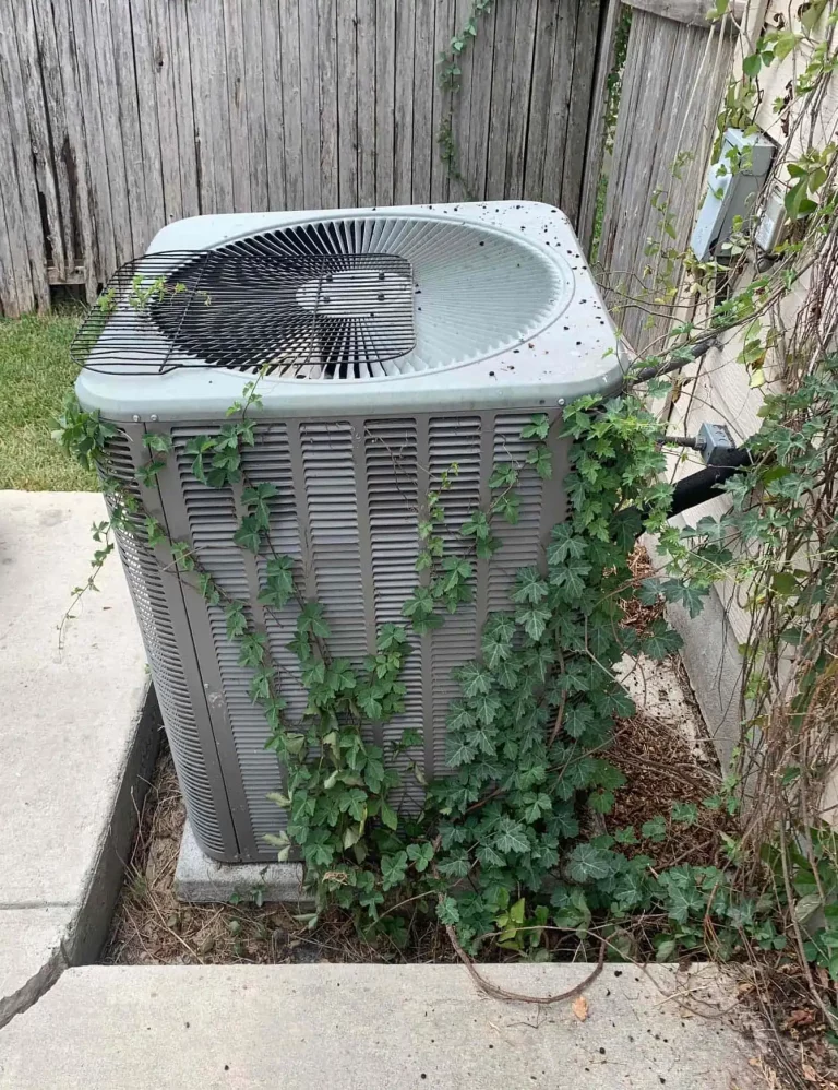 AC unit with plans growing over it